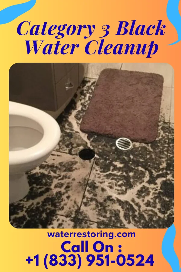 Category 3 Black Water Cleanup in Riceville, MT
