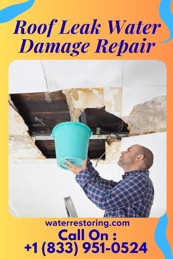 Roof Leak Water Damage Repair in Riceville, MT